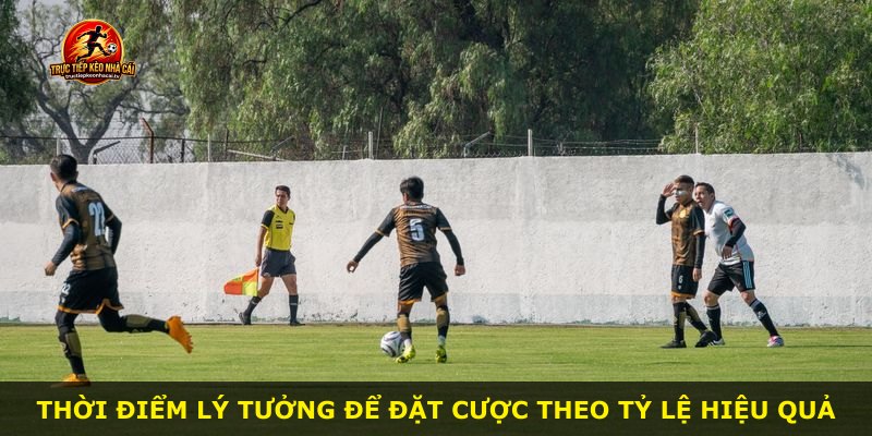 Thời điểm lý tưởng để đặt cược theo tỷ lệ hiệu quả