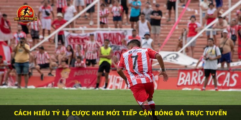 Cách hiểu tỷ lệ cược khi mới tiếp cận bóng đá trực tuyến
