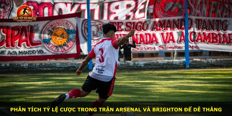 Phân tích tỷ lệ cược trong trận Arsenal và Brighton để dễ thắng