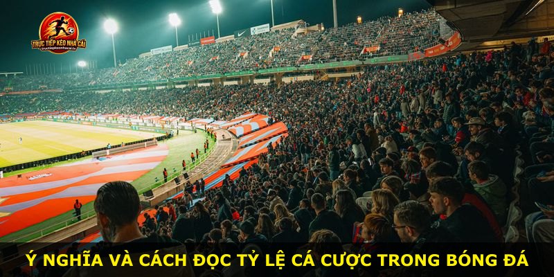 Ý nghĩa và cách đọc tỷ lệ cá cược trong bóng đá