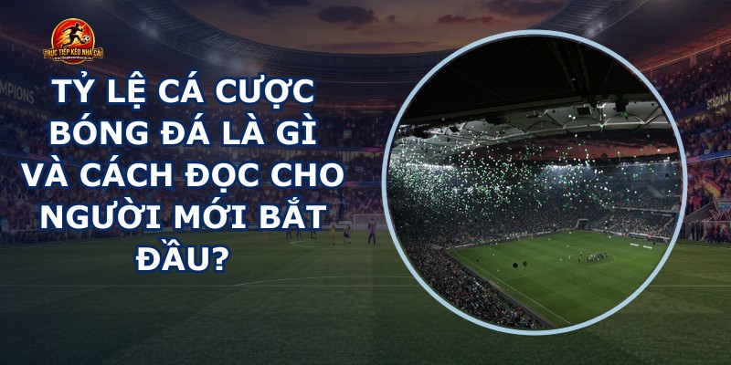 Tỷ Lệ Cá Cược Bóng Đá