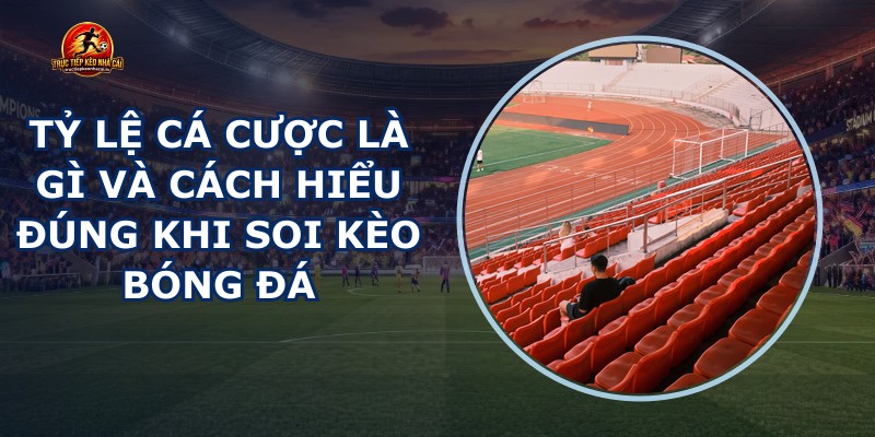 Tỷ Lệ Cá Cược