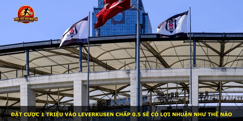 Đặt cược 1 triệu vào Leverkusen chấp 0.5 sẽ có lợi nhuận như thế nào