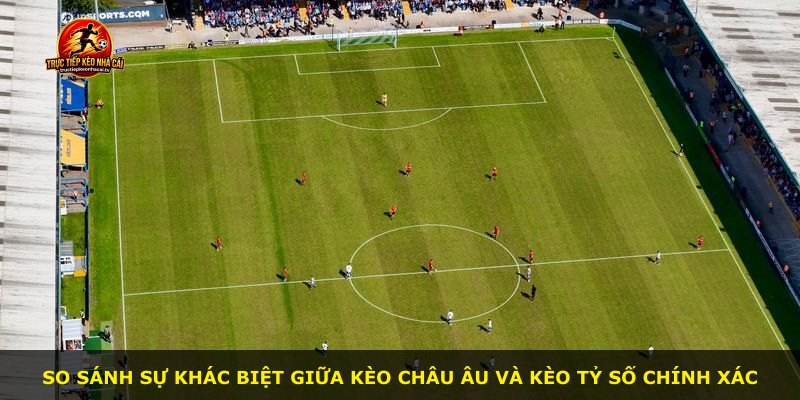 So sánh sự khác biệt giữa kèo châu Âu và kèo tỷ số chính xác
