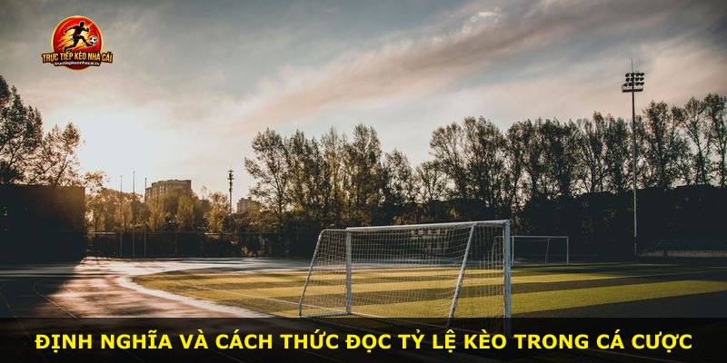 Định nghĩa và cách thức đọc tỷ lệ kèo trong cá cược
