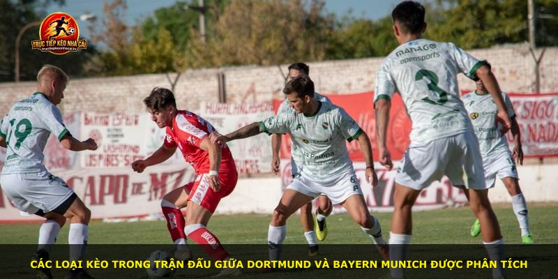 Các loại kèo trong trận đấu giữa Dortmund và Bayern Munich được phân tích