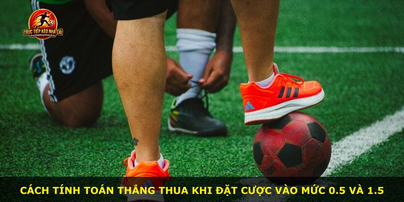 Cách tính toán thắng thua khi đặt cược vào mức 0.5 và 1.5