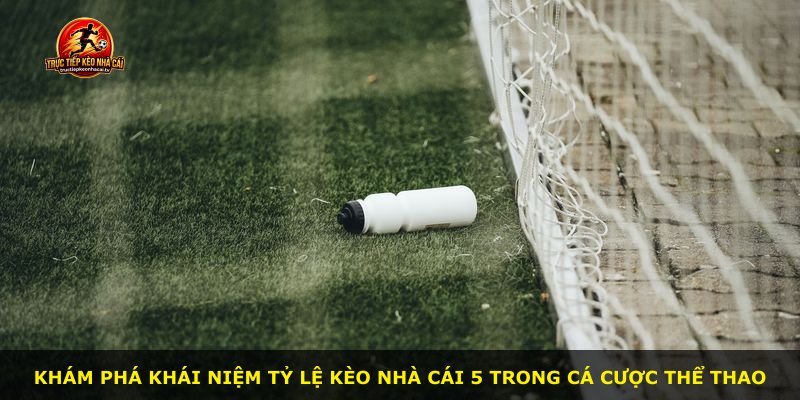 Khám phá khái niệm tỷ lệ kèo nhà cái 5 trong cá cược thể thao