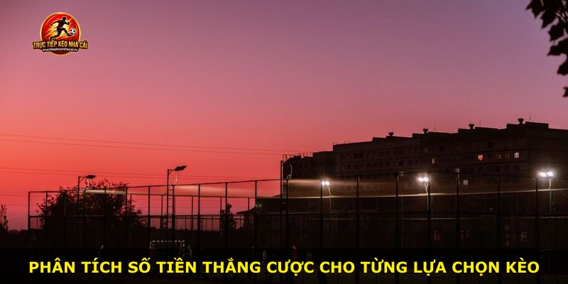 Phân tích số tiền thắng cược cho từng lựa chọn kèo