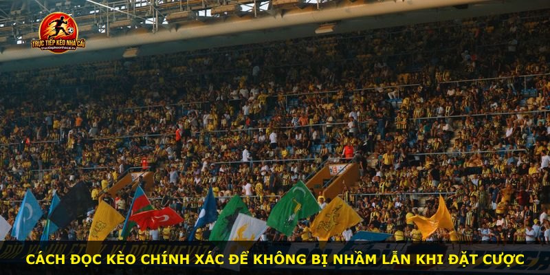 Cách đọc kèo chính xác để không bị nhầm lẫn khi đặt cược