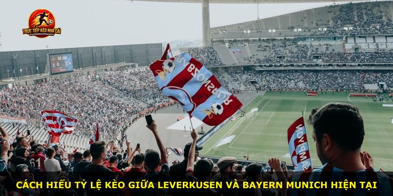 Cách hiểu tỷ lệ kèo giữa Leverkusen và Bayern Munich hiện tại