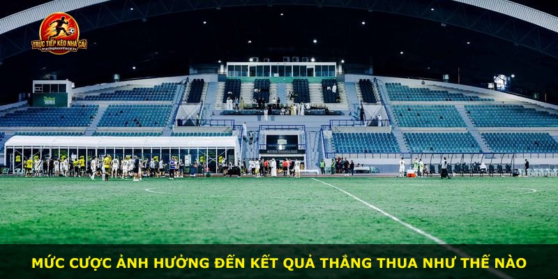 Mức cược ảnh hưởng đến kết quả thắng thua như thế nào