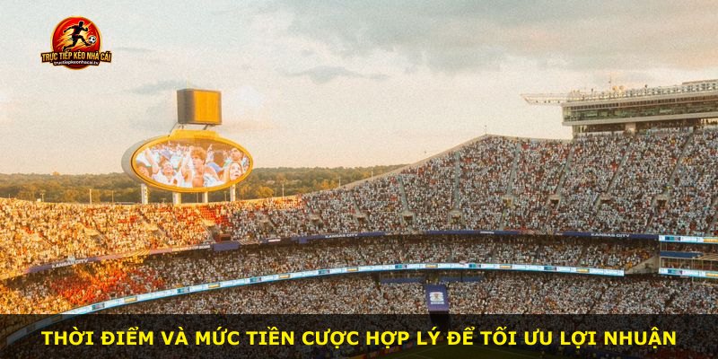 Thời điểm và mức tiền cược hợp lý để tối ưu lợi nhuận