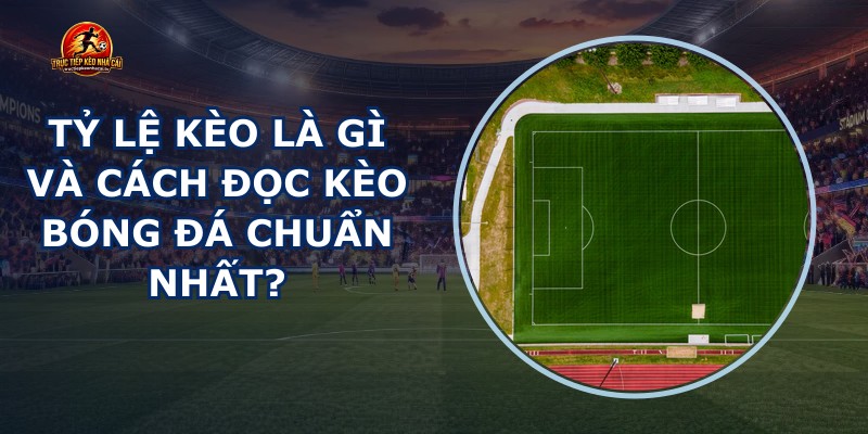 Tỷ Lệ Kèo