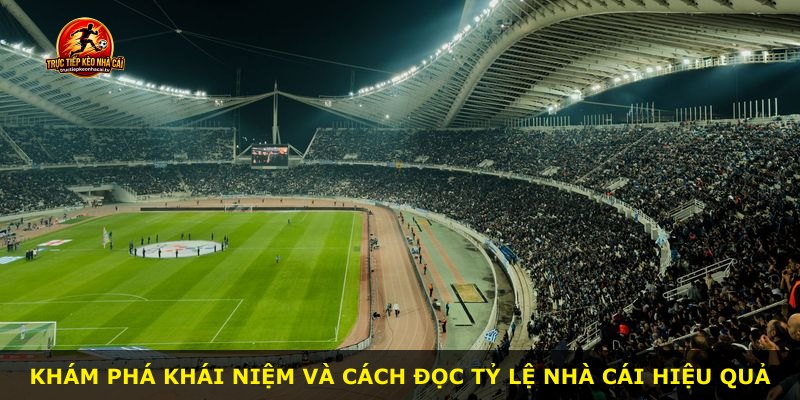 Khám phá khái niệm và cách đọc tỷ lệ nhà cái hiệu quả