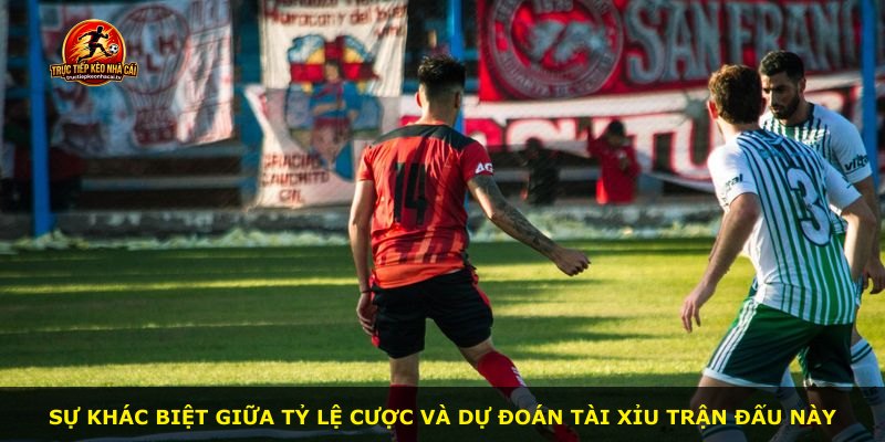 Sự khác biệt giữa tỷ lệ cược và dự đoán tài xỉu trận đấu này