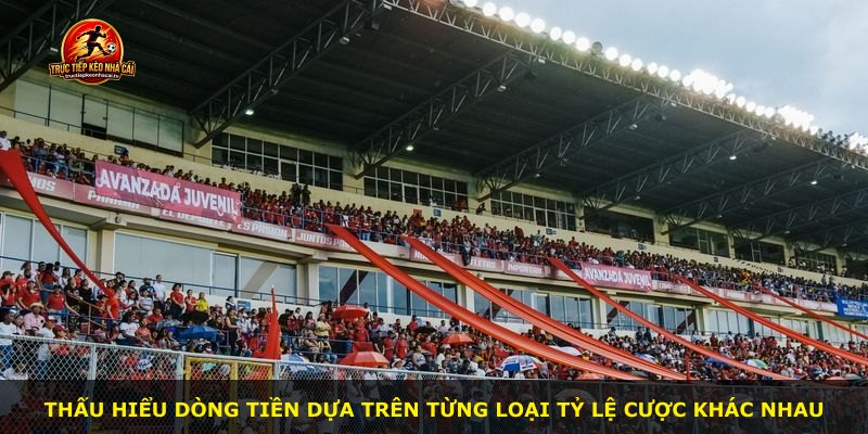 Thấu hiểu dòng tiền dựa trên từng loại tỷ lệ cược khác nhau